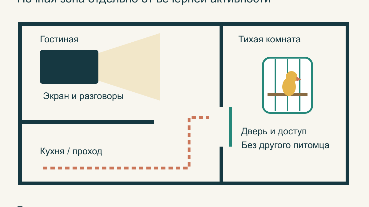 Сон попугая: как организовать вечерний режим в квартире
