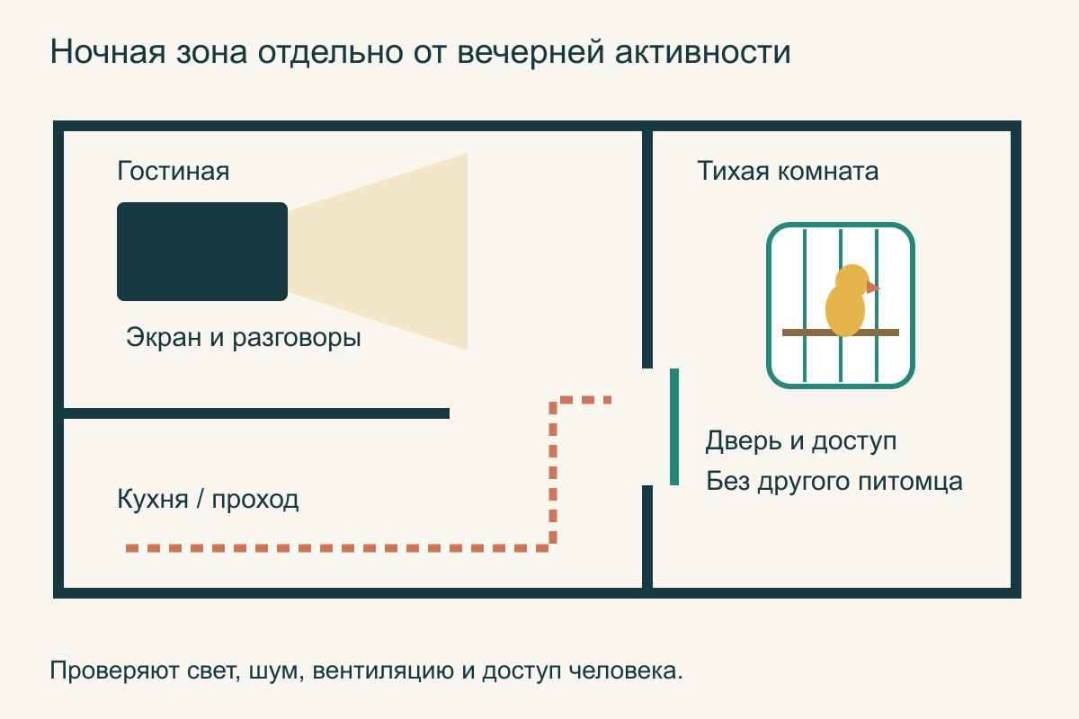 План комнат: клетка в тихой зоне отдельно от телевизора, кухни и сквозного прохода