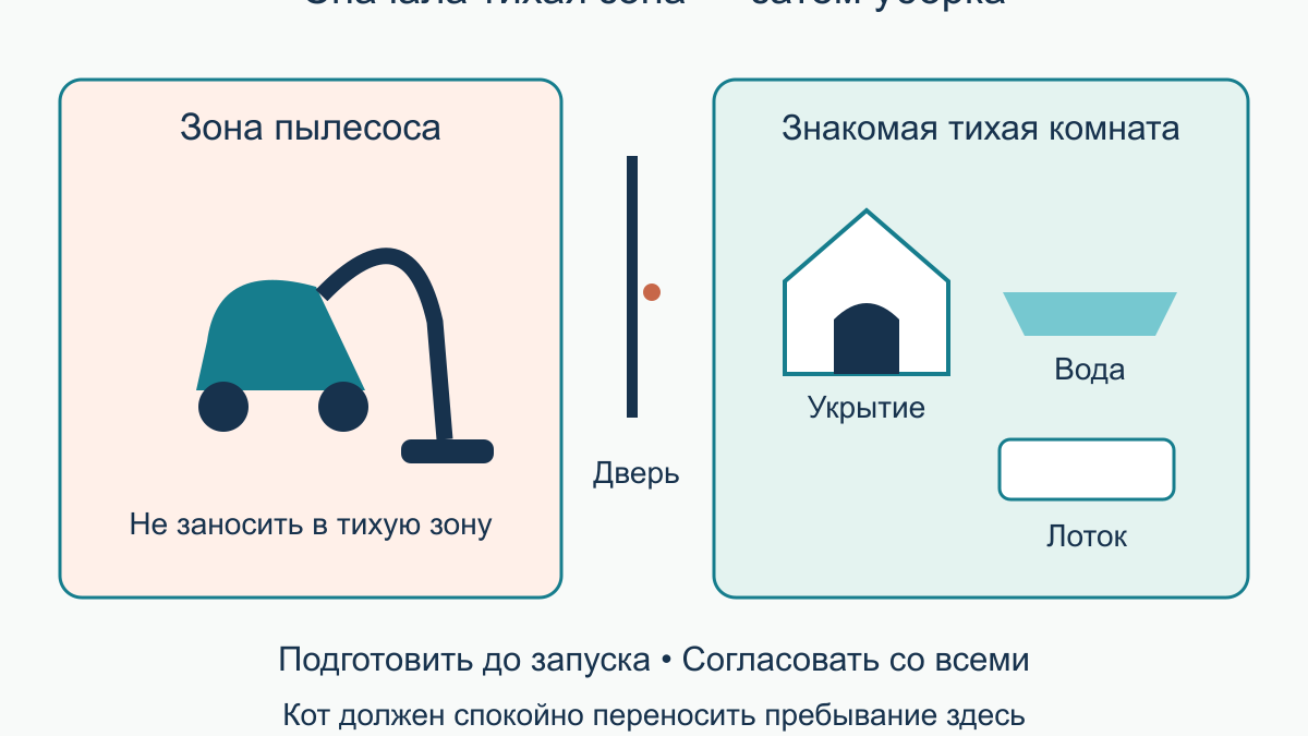 Кот боится пылесоса: как постепенно приучать к бытовым звукам