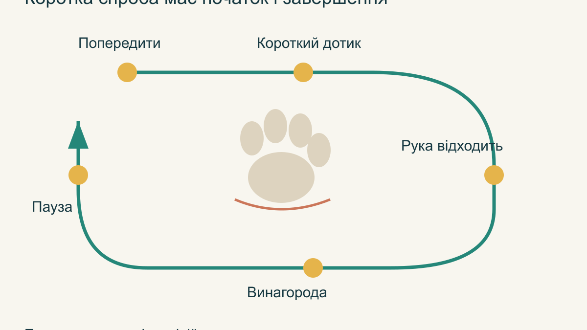 Як навчити собаку спокійно дозволяти огляд лап і вух