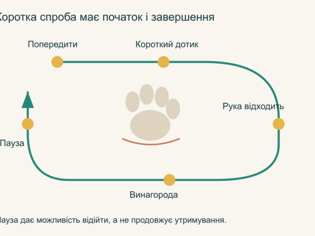 Як навчити собаку спокійно дозволяти огляд лап і вух