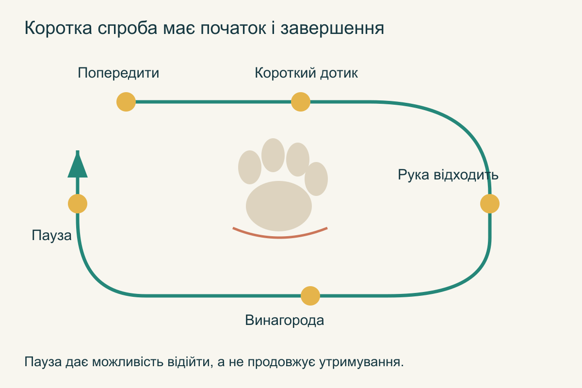 Короткий цикл навчання: попередження, легкий дотик, відведення руки, винагорода та вільна пауза