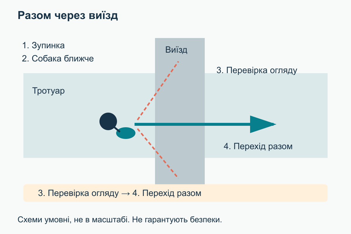 Послідовність біля виїзду: зупинка на тротуарі, собака ближче, перевірка огляду, спільний перехід