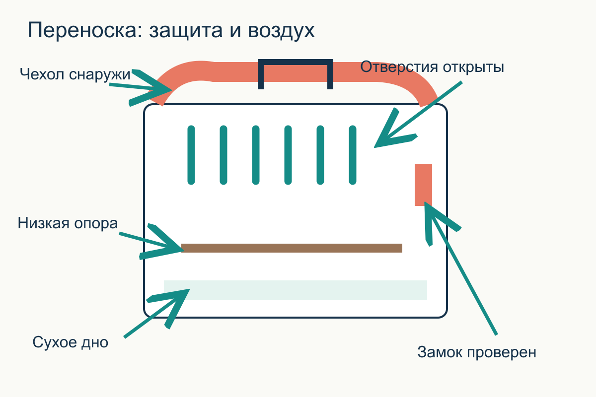 Разрез переноски с низкой опорой, сухим дном, замком и незакрытой зоной вентиляции