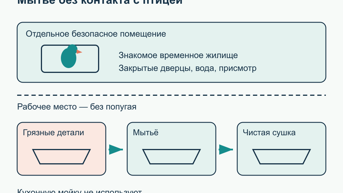 Как мыть клетку попугая, миски и аксессуары