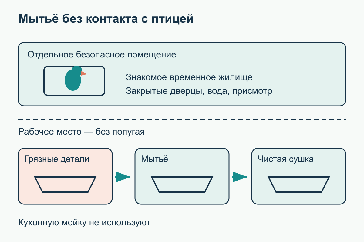 Грязные детали, мытьё и чистая сушка разделены; попугай находится в другом безопасном помещении