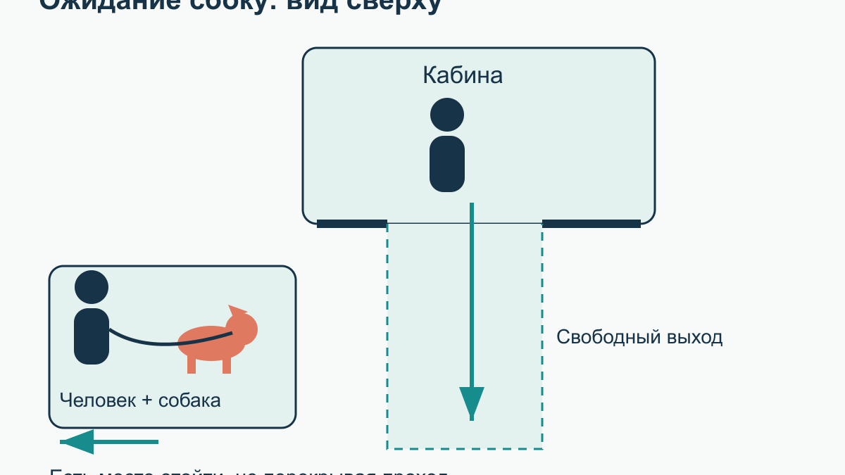 Собака в лифте и подъезде: как научить спокойно проходить