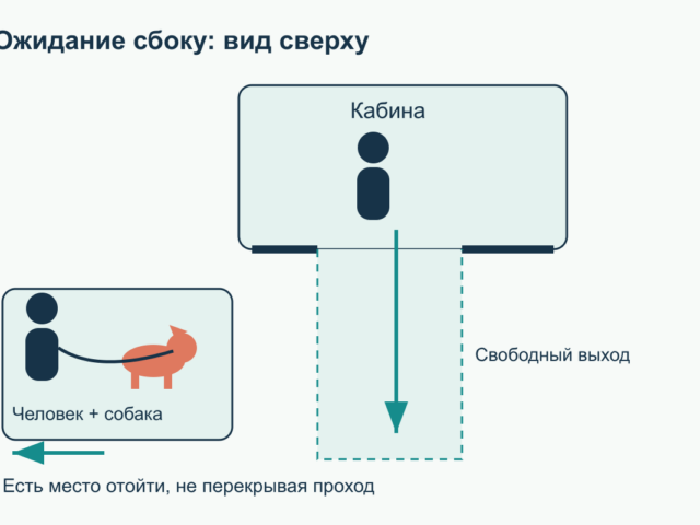 Собака в лифте и подъезде: как научить спокойно проходить