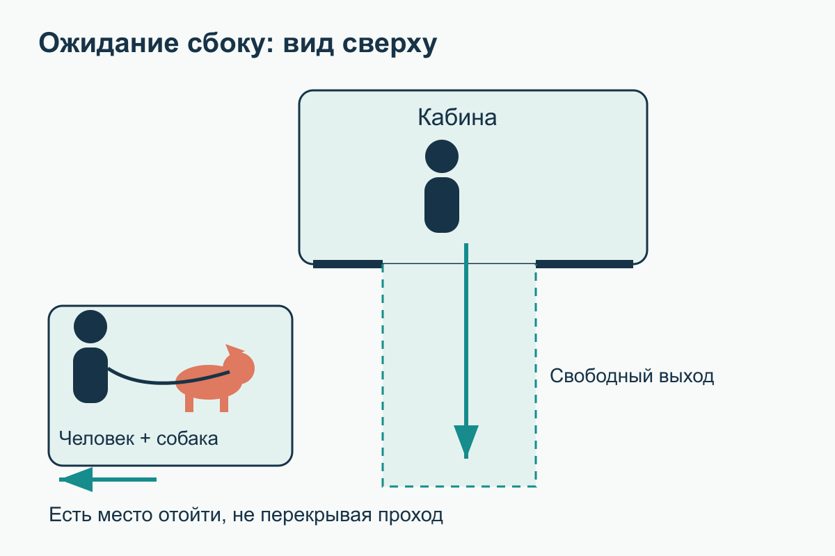 Вид сверху: человек с собакой ждут сбоку от лифта, центральный путь пассажиров остаётся свободным