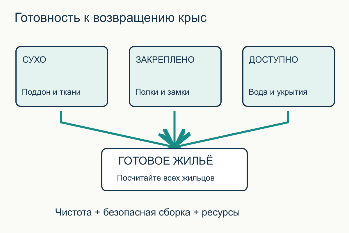 Проверки перед возвращением крыс Сухие детали, закрытые крепления и доступная вода сходятся к решению о готовности клетки для крыс