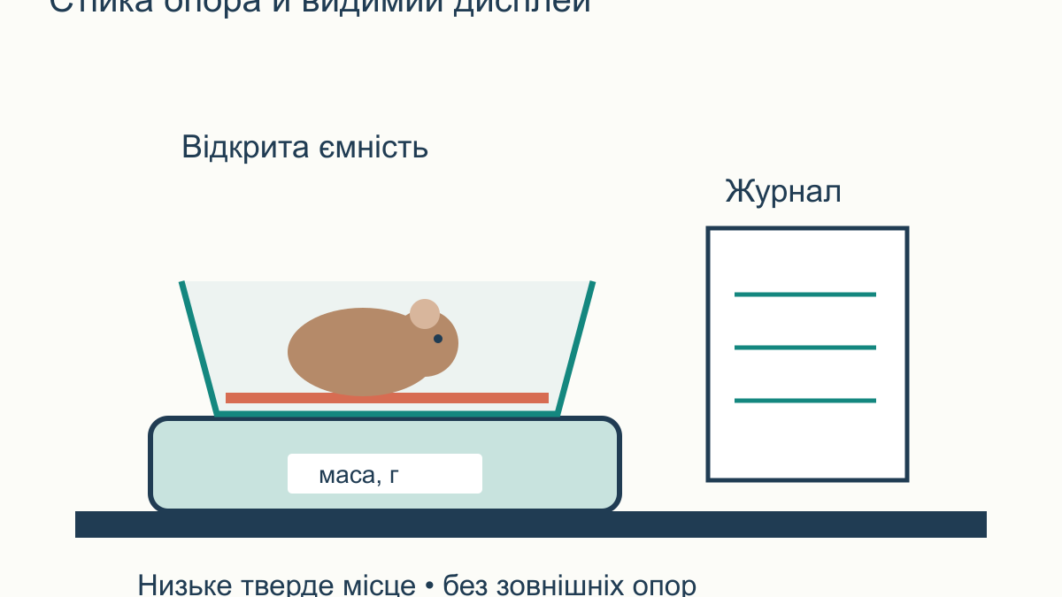 Як зважувати морську свинку вдома й вести журнал ваги