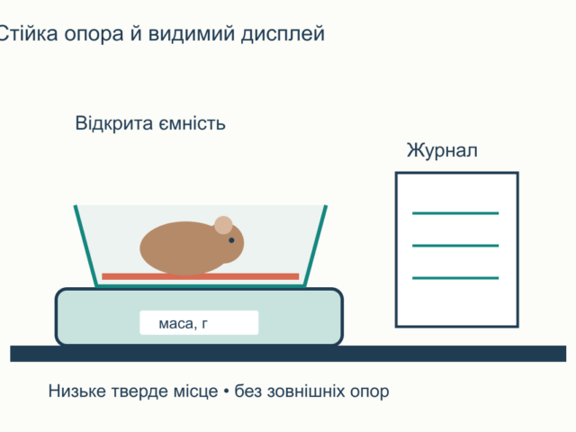 Як зважувати морську свинку вдома й вести журнал ваги