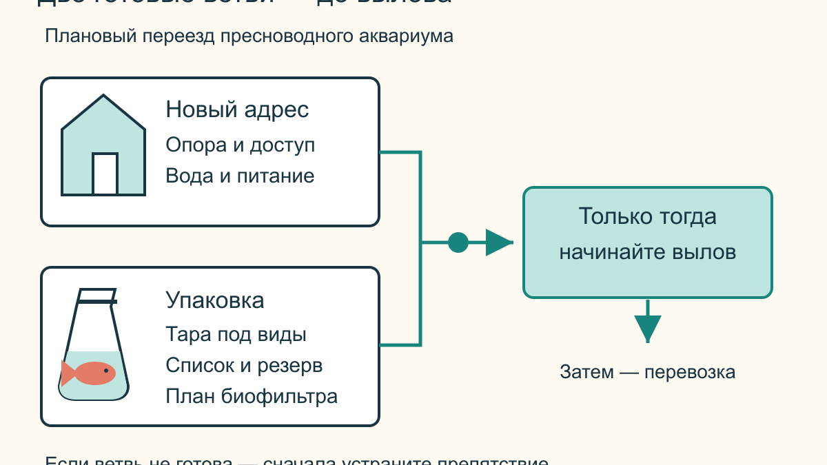 Как перевезти заселенный аквариум при переезде