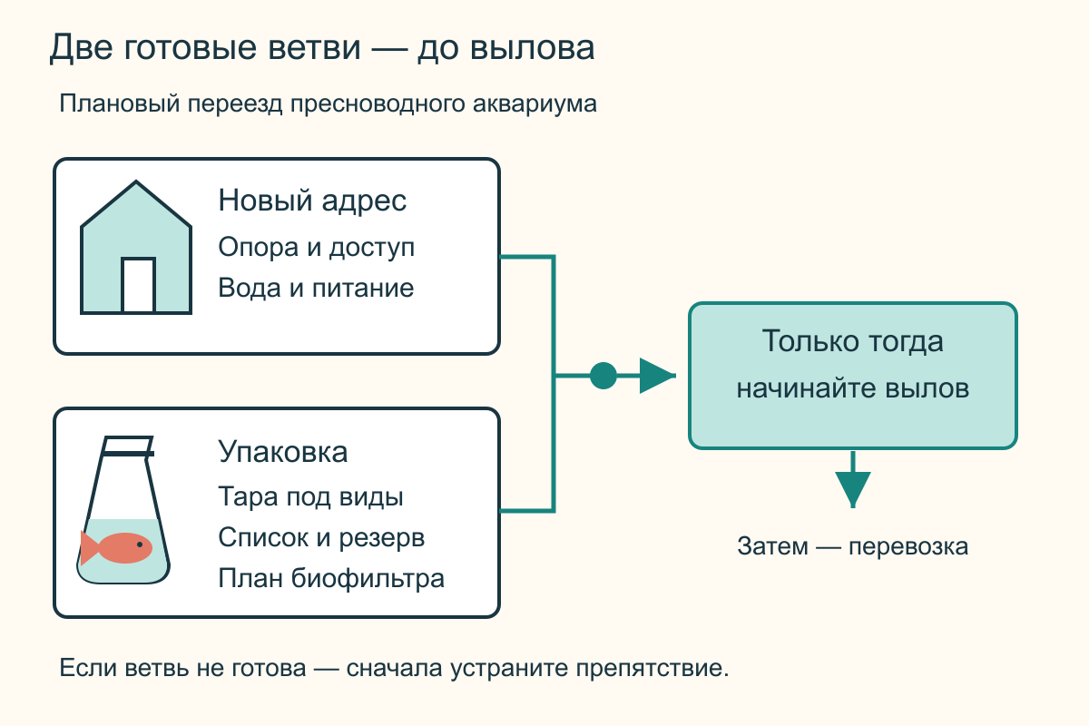 Две подготовительные ветви — готовое новое место и транспортная упаковка — соединяются перед выловом рыб, после чего начинается перевозка