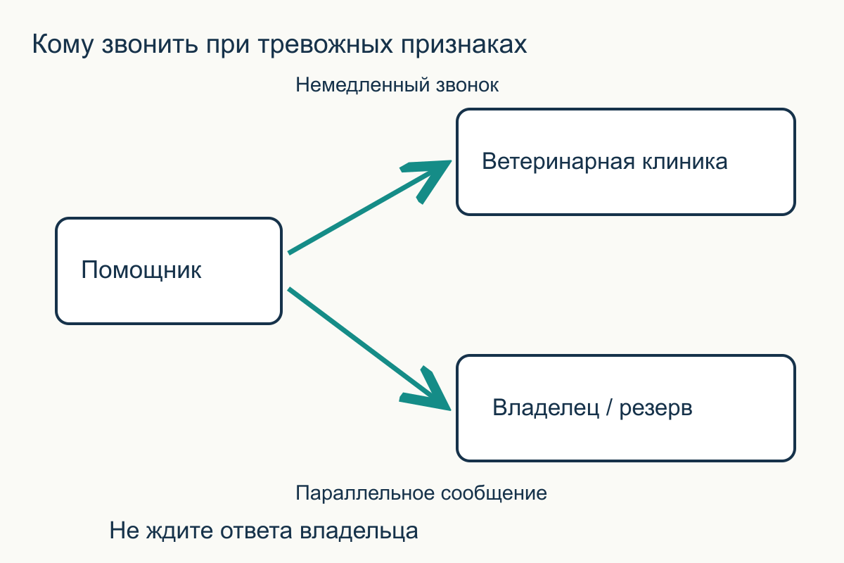 При тревожных признаках помощник напрямую звонит ветеринару и параллельно уведомляет владельца и резервного человека