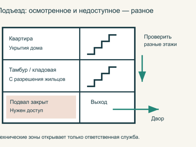 Домашний кот потерялся в подъезде или возле дома: план поиска