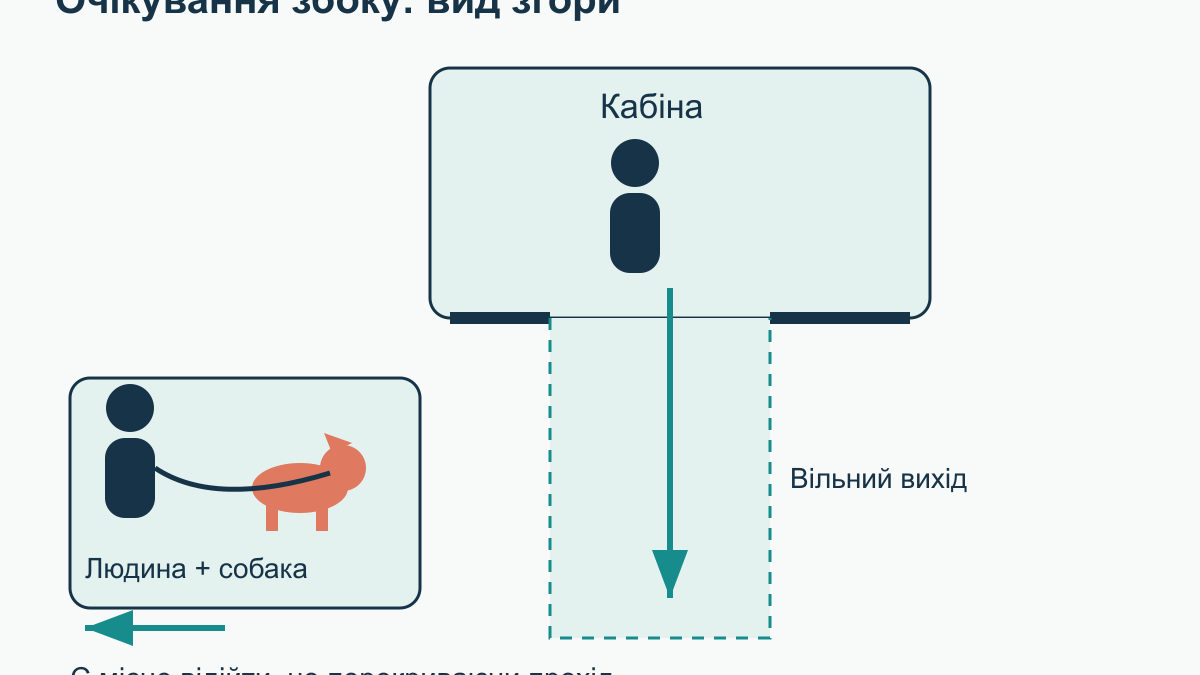 Собака в ліфті та під’їзді: як навчити спокійно проходити