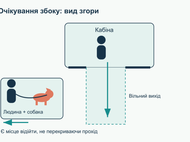Собака в ліфті та під’їзді: як навчити спокійно проходити