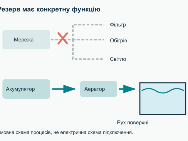 Акваріум під час відключення світла: підготовка та порядок дій
