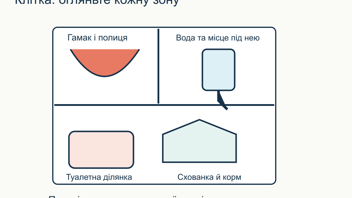 Як прибирати клітку домашнього щура: щоденні та періодичні справи