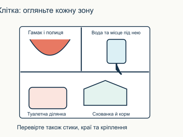 Як прибирати клітку домашнього щура: щоденні та періодичні справи