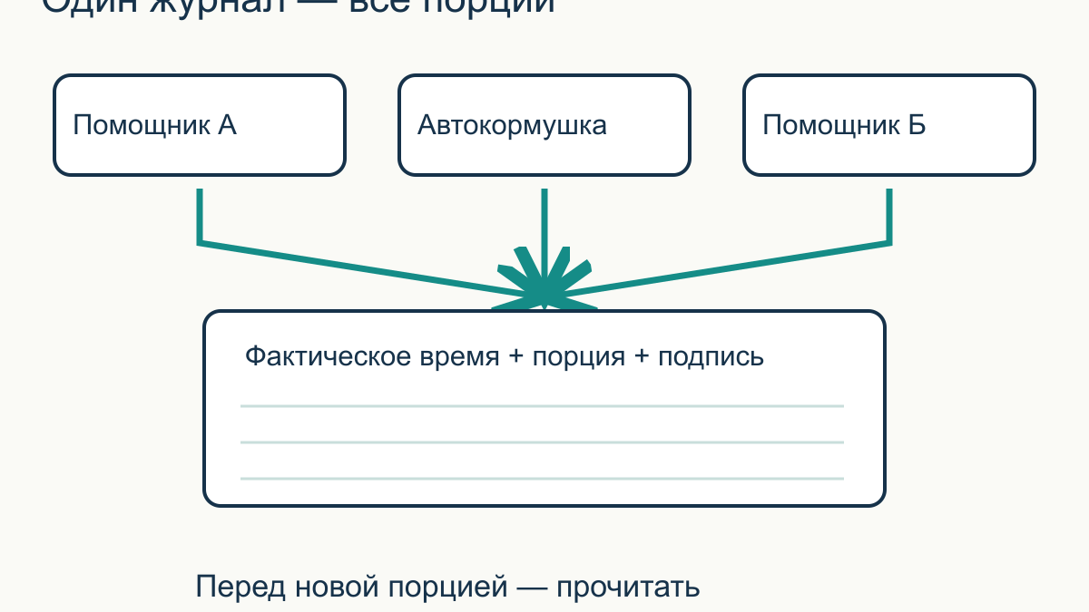Инструкция для человека, который будет ухаживать за котом в ваше отсутствие