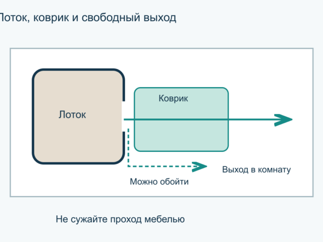 Наполнитель разносится по квартире: как обустроить зону лотка
