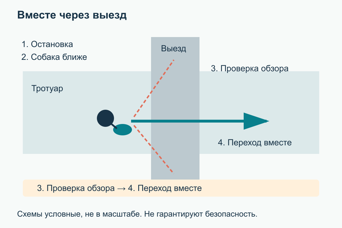 Последовательность перед выездом Перед выездом человек останавливается с собакой на тротуаре, проверяет видимость и пересекает его вместе с ней