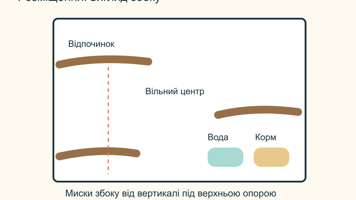 Жердинки для папуги: матеріали, розміщення та догляд