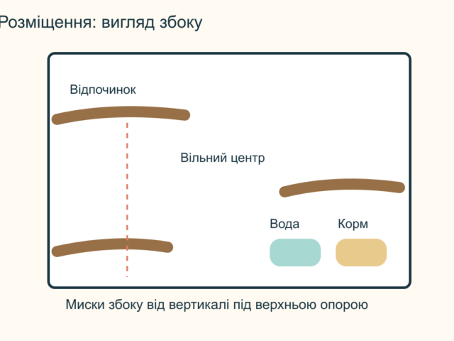 Жердинки для папуги: матеріали, розміщення та догляд