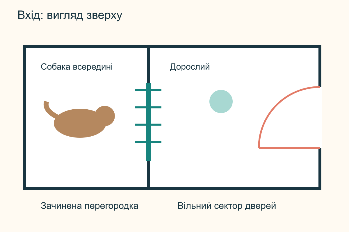 План передпокою зверху: собака за зачиненою внутрішньою перегородкою, дорослий біля зовнішніх дверей і вільний сектор їх відкривання