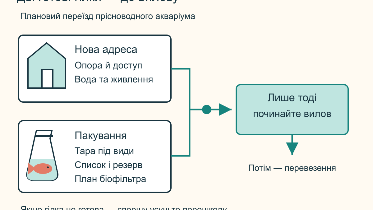 Як перевезти заселений акваріум під час переїзду