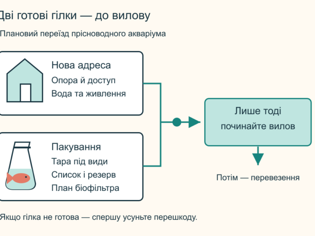 Як перевезти заселений акваріум під час переїзду