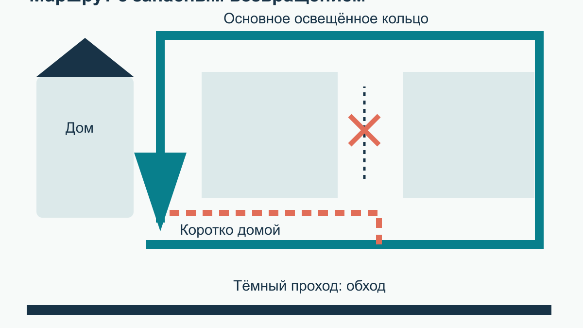 Прогулка с собакой в темноте: маршрут, видимость и снаряжение