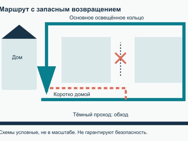 Прогулка с собакой в темноте: маршрут, видимость и снаряжение