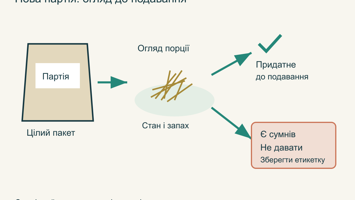 Сіно для декоративного кролика: вибір, подавання та зберігання