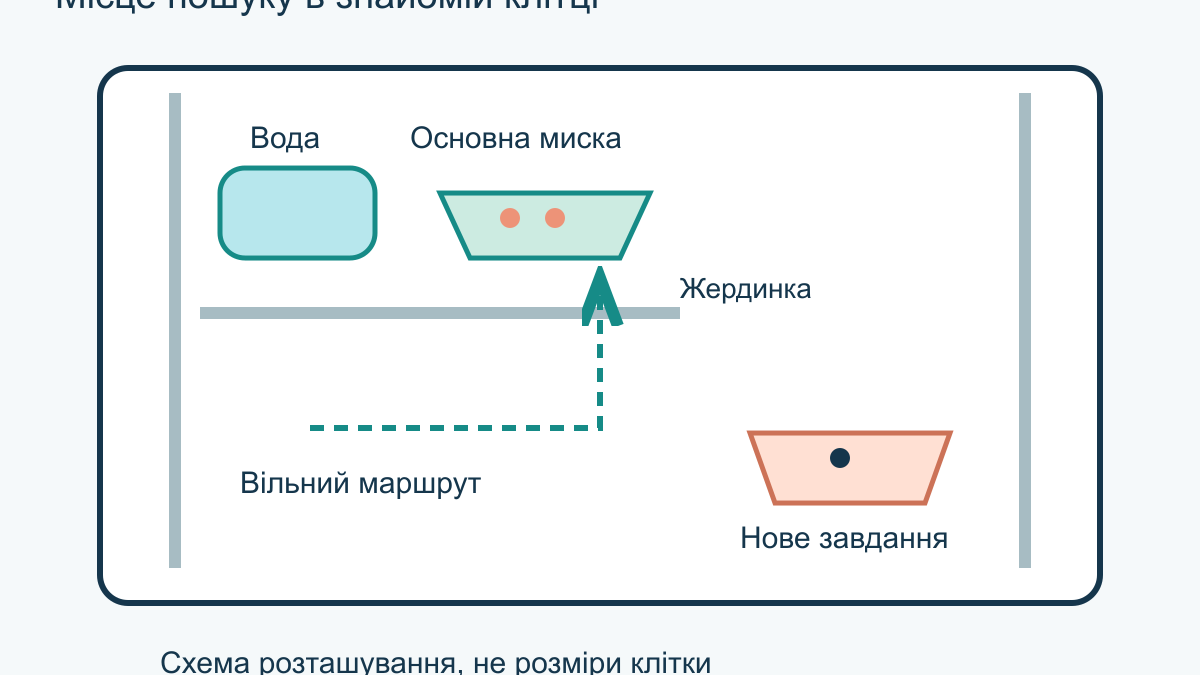 Пошук корму для папуги: як організувати фуражування вдома