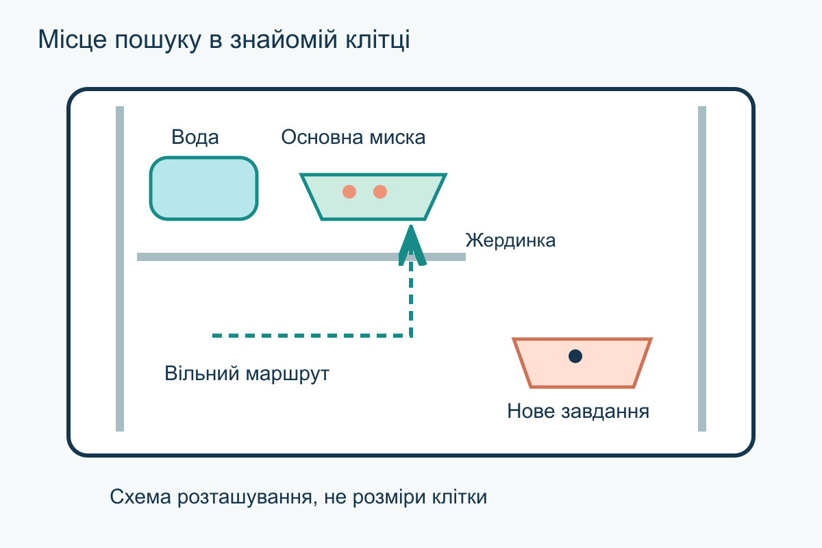 Схема клітки: доступні вода й основна миска, окреме місце пошуку біля жердинки та вільний прохід