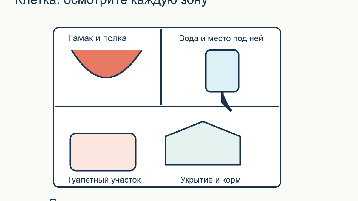 Как убирать клетку домашней крысы: ежедневные и периодические дела