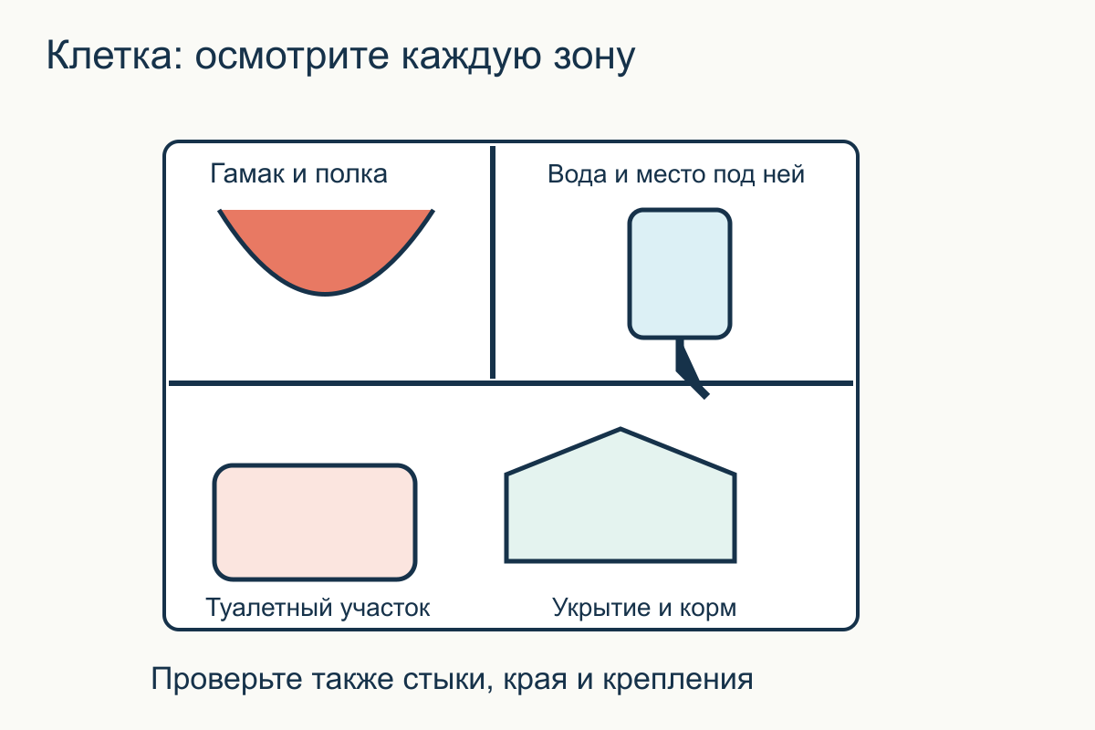 Зоны ежедневного осмотра клетки Карта клетки крыс с зонами воды, еды, туалета, гамака и укрытия для последовательного осмотра
