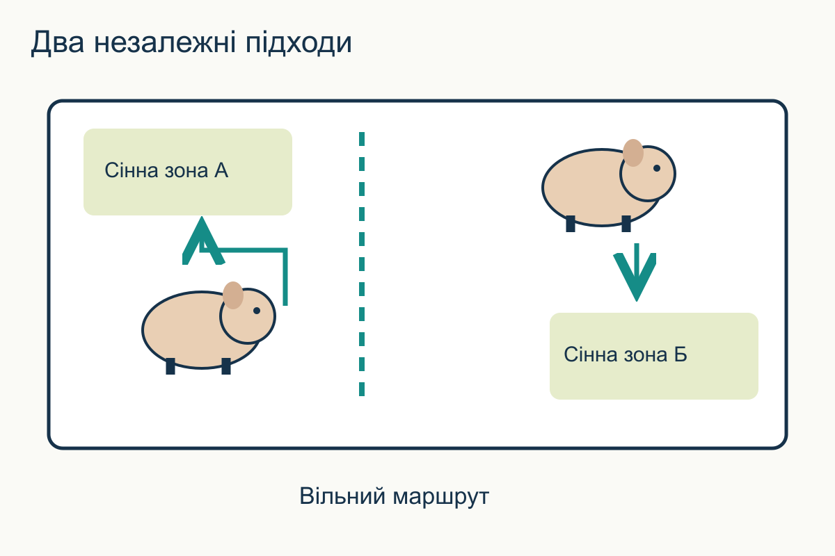 Вид зверху: дві рознесені сінні зони мають окремі підходи, між ними лишається вільний маршрут