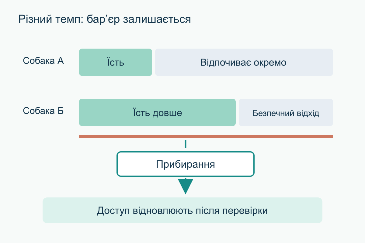 Дві паралельні часові доріжки: перша собака вже відпочиває окремо, друга ще їсть; розділення зберігається до прибирання