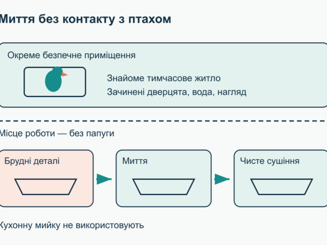 Як мити клітку папуги, миски та аксесуари